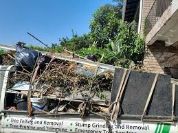 Moving and Downsizing Cleanouts in Webster Groves, MO
