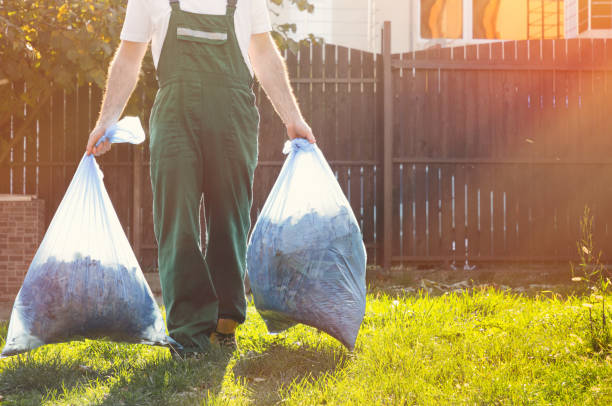 Best Demolition Debris Removal  in Webster Groves, MO